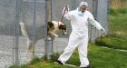 Fired shelter manager says she is OSPCA �scapegoat�