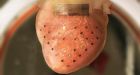 Membrane that can keep your heart pumping forever and possibly prevent heart attacks