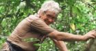 W.D. Hamilton's evolutionary theory driving world-changing research