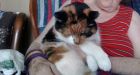 Bubba the cat found after 40 days under snow-covered deck