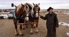 Quebec's Pierre Cloutier hoofs it to B.C. in horse-drawn wagons