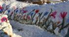 A Snowstorm Can't Stop Halifax's Flowers From Blooming