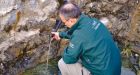 Haida Gwaii hot springs heating up 3 years after earthquake