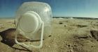 Biodegradable plastics not breaking down in ocean, UN report says